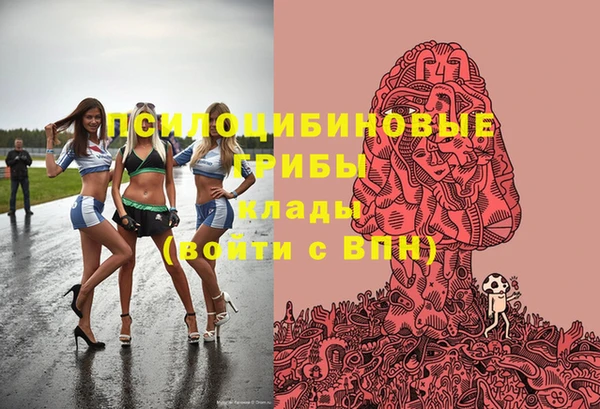 стафф Армянск