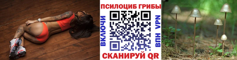 Галлюциногенные грибы Psilocybe  Сосногорск 